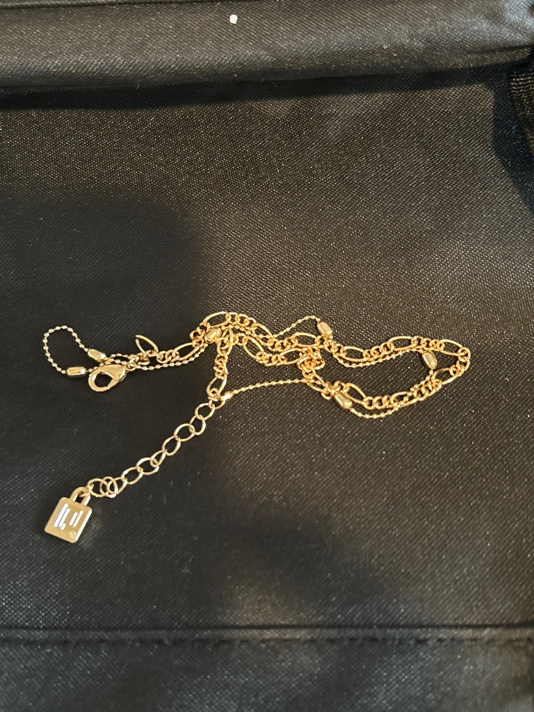 Dannijo Double Gold Anklet